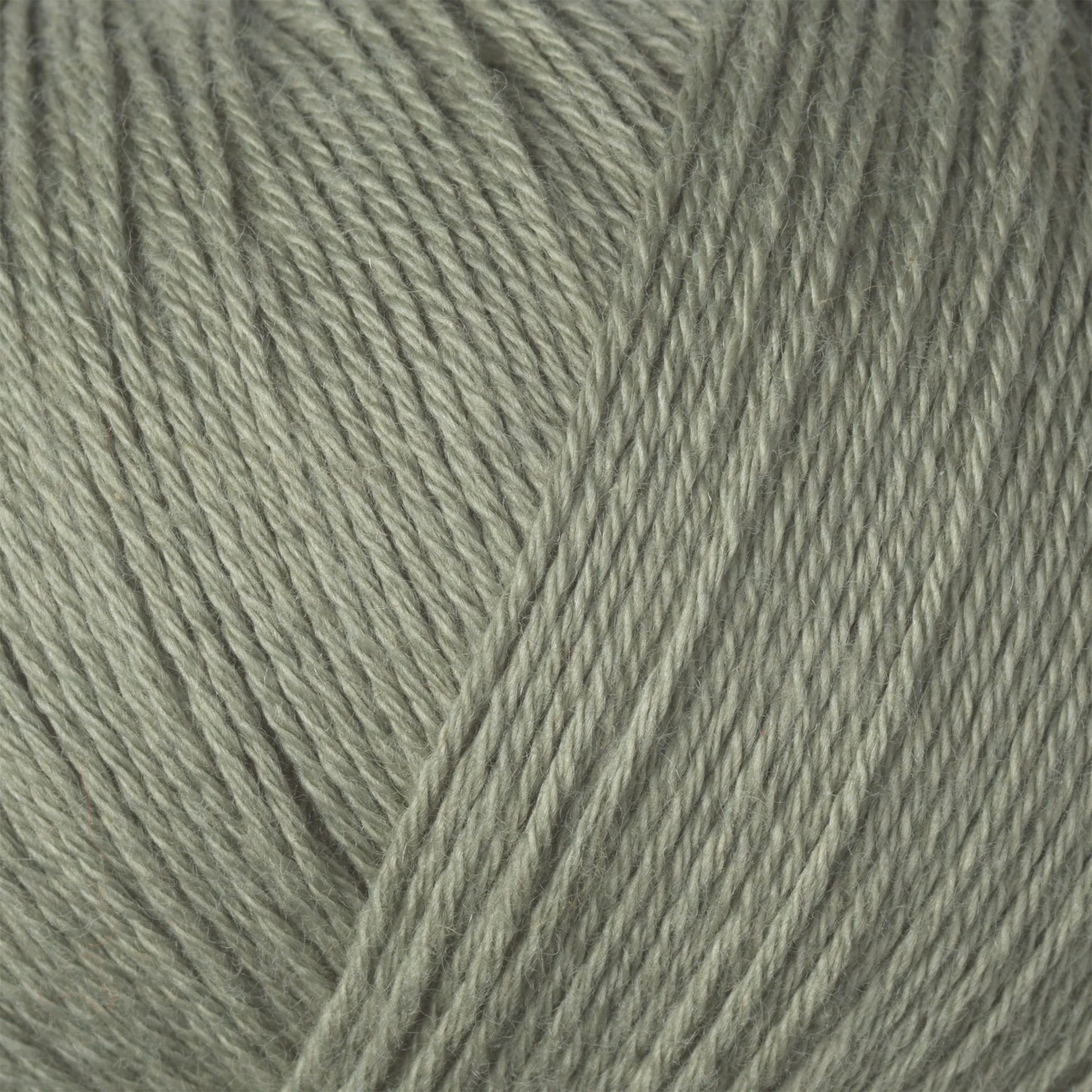 Cotton Merino