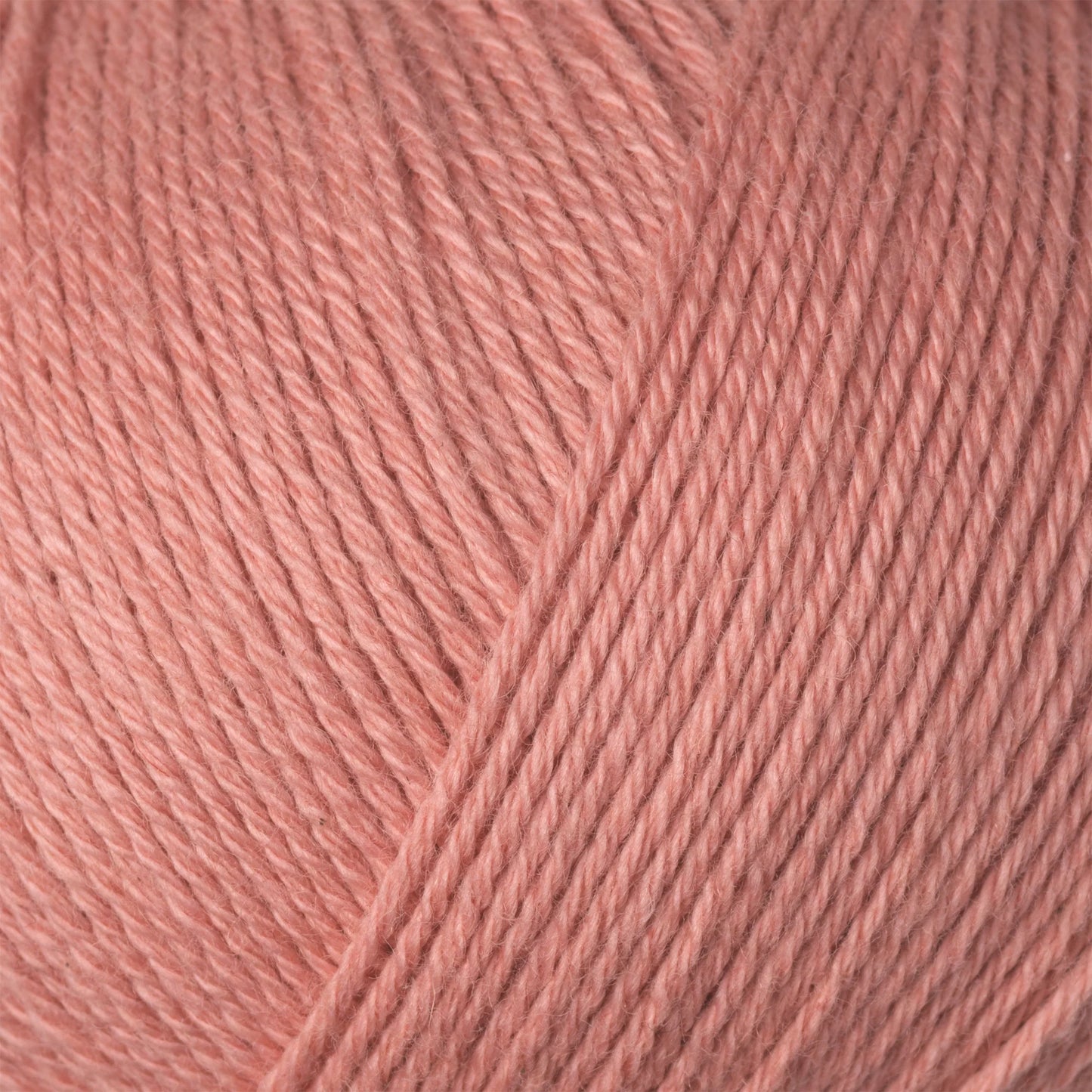 Cotton Merino