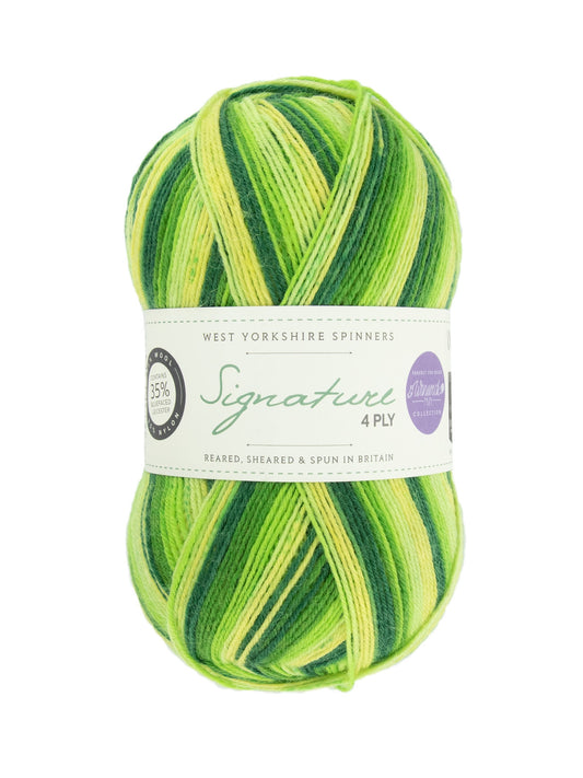 Signature Winwick Mum Yarn Sockenwolle 4-fädig