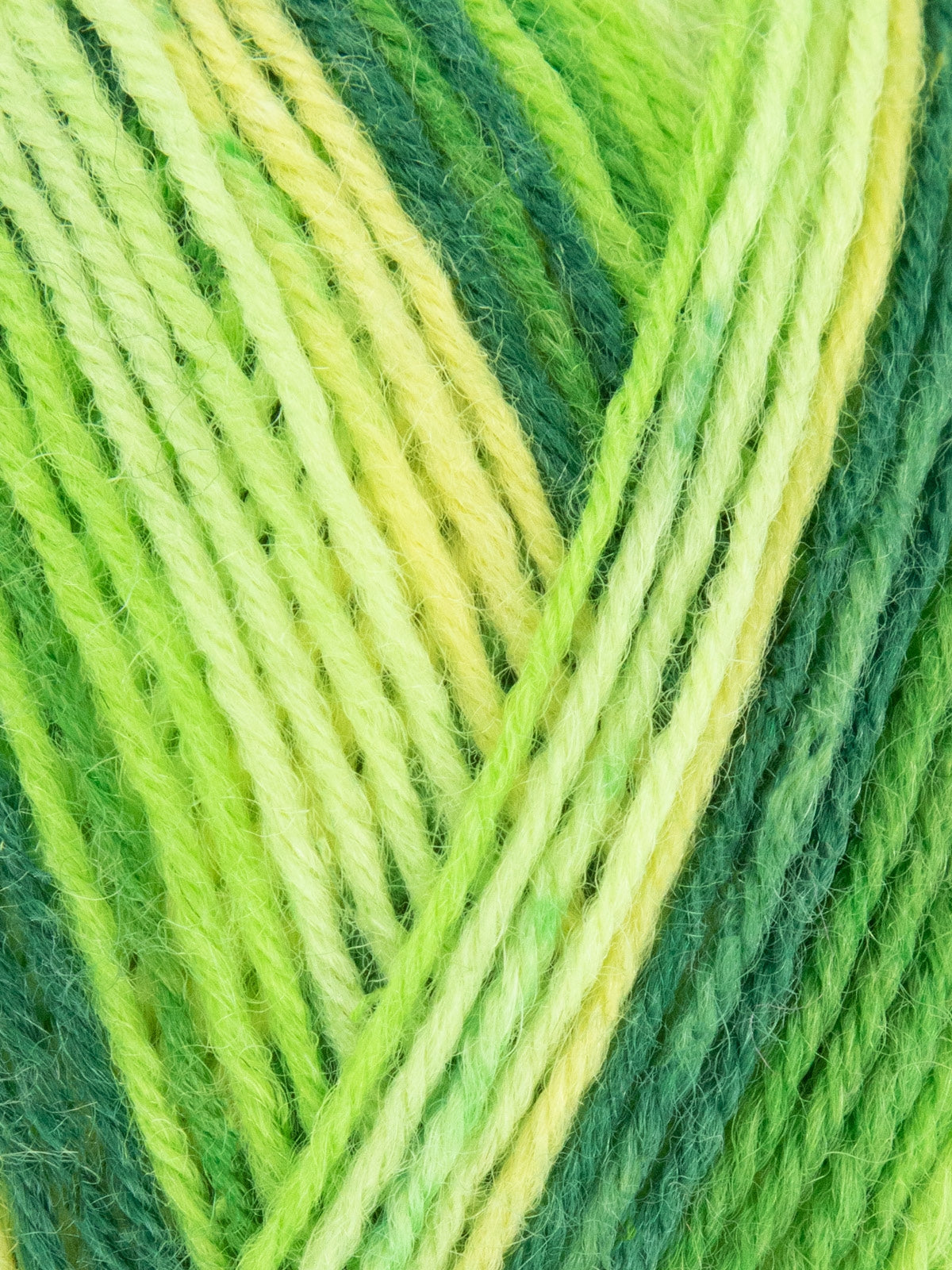 Signature Winwick Mum Yarn Sockenwolle 4-fädig